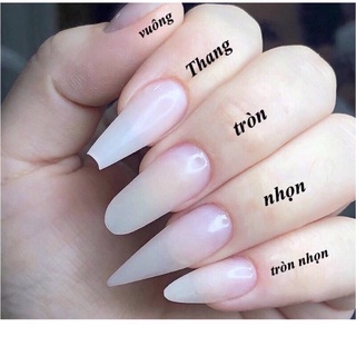[ Ảnh và video thật ] Mẫu nailbox khách đặt riêng