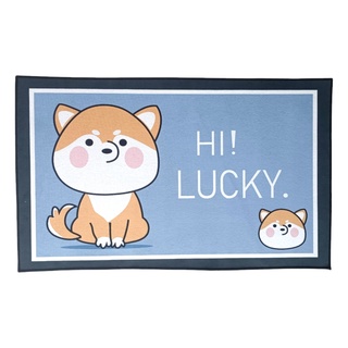 Thảm chùi chân 50*80