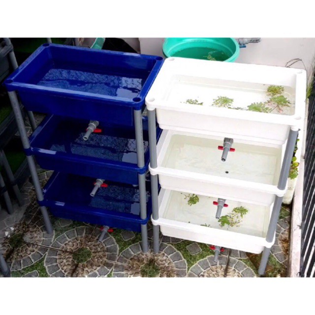 Bộ Khay Tầng Cải Tiến Có Lỗ OUT Nuôi Cá, Trồng Rau 64x42x17