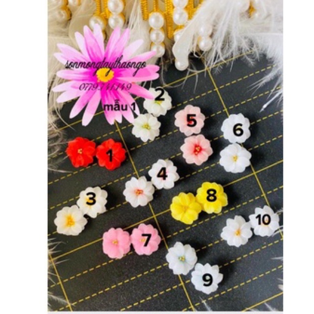 (hàng mới về)Hoa bột nail gắn móng tay dành cho Nail dễ thương