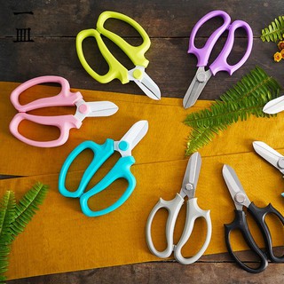 Kéo cắt tỉa hoa cành