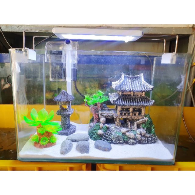 COMBO HỒ CÁ TRANG TRÍ 30x17x20cm