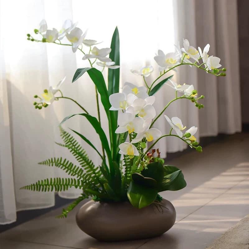 Chậu Lan Hồ Điệp cao cấp - Hoa lụa cao cấp - Hoa giả trang trí nhà đẹp, sự kiện