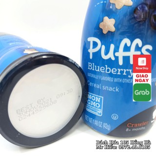 Bánh Gerber vị việt quất 42g