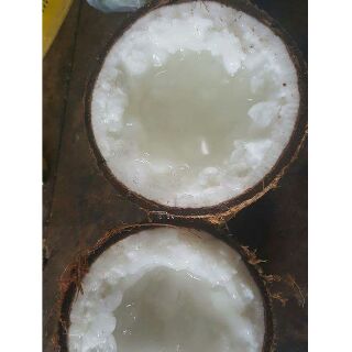 COMBO 5 Trái DỪA SÁP