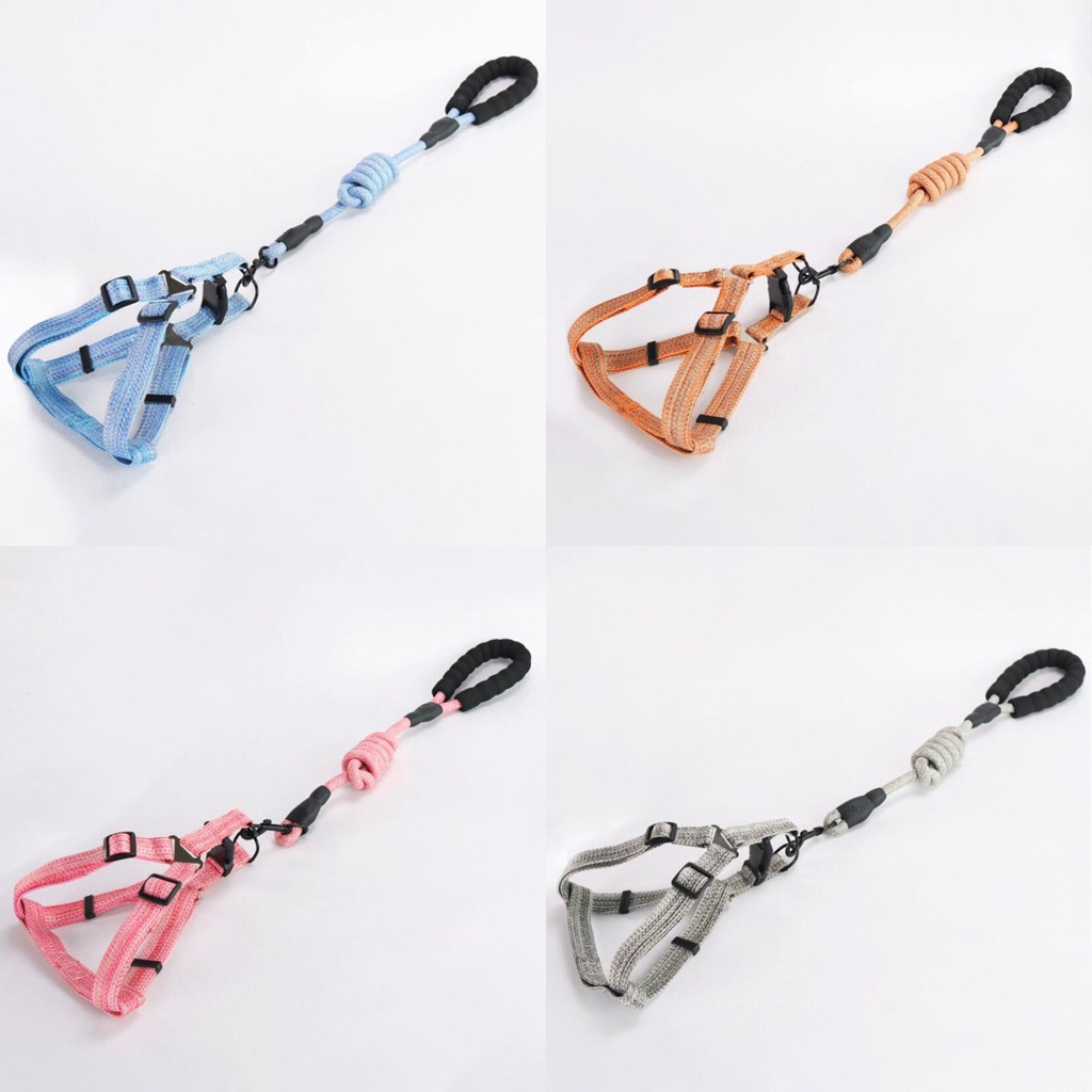 Dây Dắt Thú Cưng Đi Dạo 120cm Chất Lượng Cao