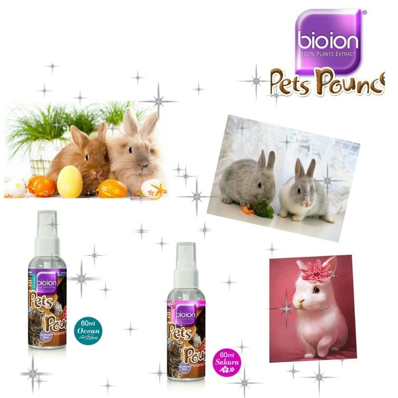 Bioion Pet Pounce -  Xịt khử mùi, khử trùng dành cho thú cưng: chó, mèo, hamster, thỏ...Kitty Pet Shop