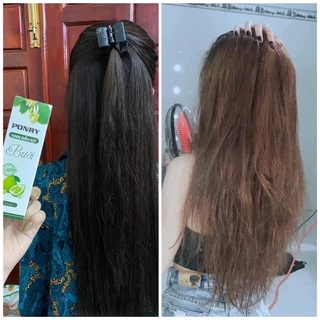 XỊT BƯỞI KÍCH MỌC TÓC PONRY