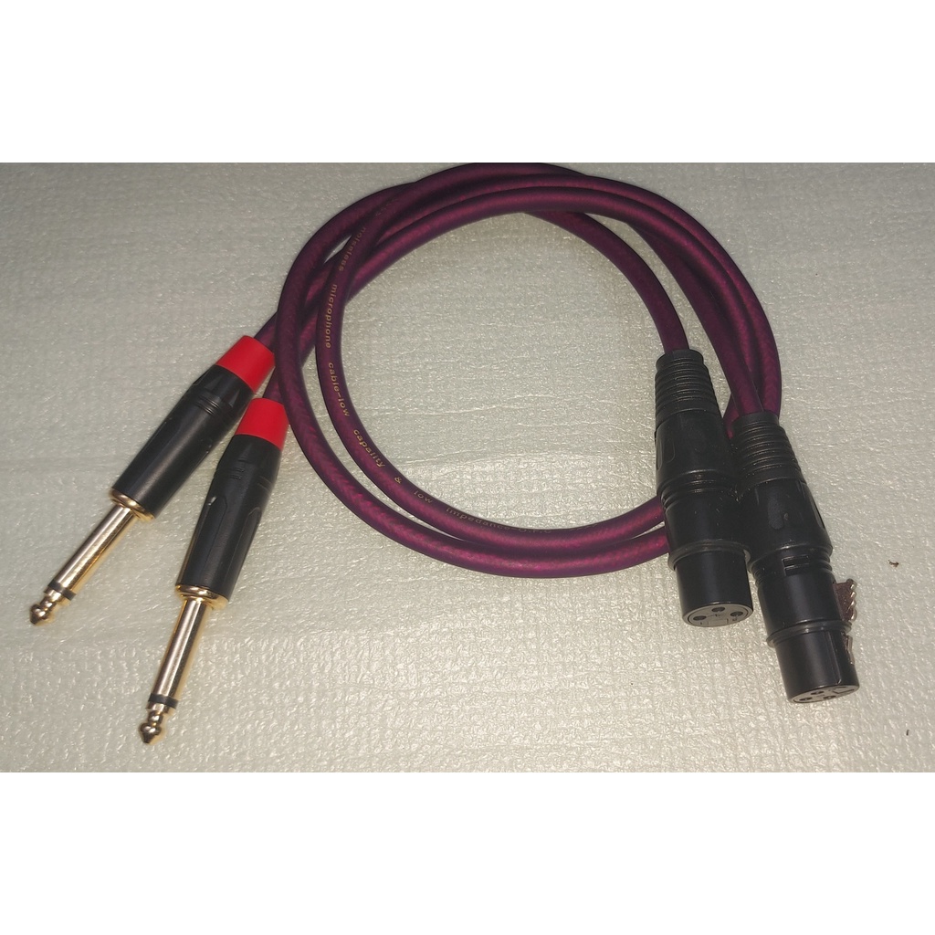 Dây tín hiệu chuyển jack xlr canon cái ra jack 6 ly  mono