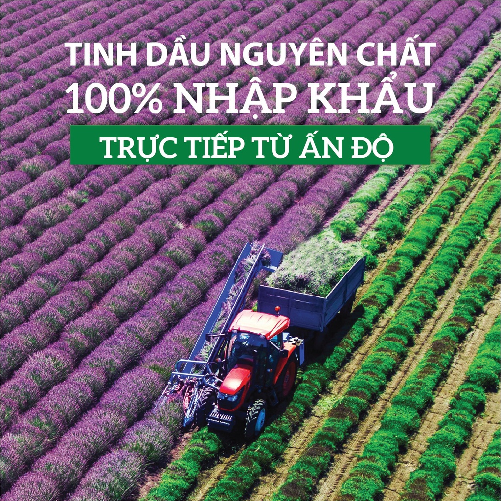 Tinh Dầu Xông Phòng Kháng Khuẩn Nguyên Chất: Bạc Hà, Vỏ Bưởi, Sả Chanh Đuổi Muỗi, Khử Mùi KAROMA 50ml - 100ml (Chai)