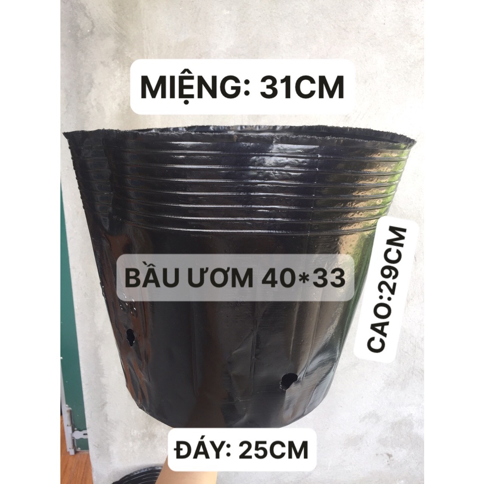 BẦU ƯƠM CÂY 40*33 ( DỊCH TRUYỀN CHO CÂY, KÍCH RỄ , MẦM CÂY XANH LÁ, LƯỚI CHE NẮNG...)