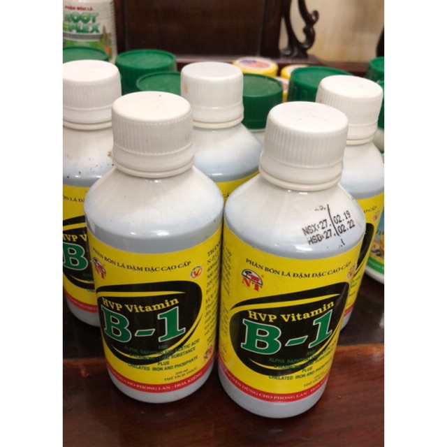 Vitamin B1 cho Lan - Phân bón cho Lan 250 ml 🌱