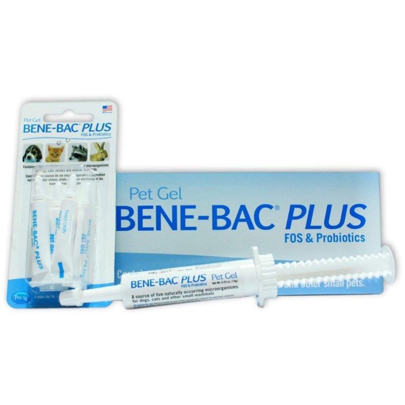 Bene-Bac Plus men tiêu hoá dạng gel Mỹ