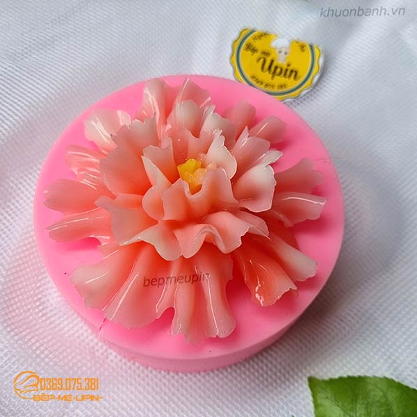 Khuôn silicon hoa cẩm chướng hoa phăng