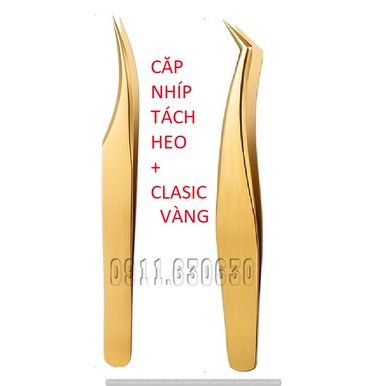 Cặp nhíp găp classic vàng nhám +tách heo vàng _dụng cụ nối mi_keo nối mi MAGIC LASHES