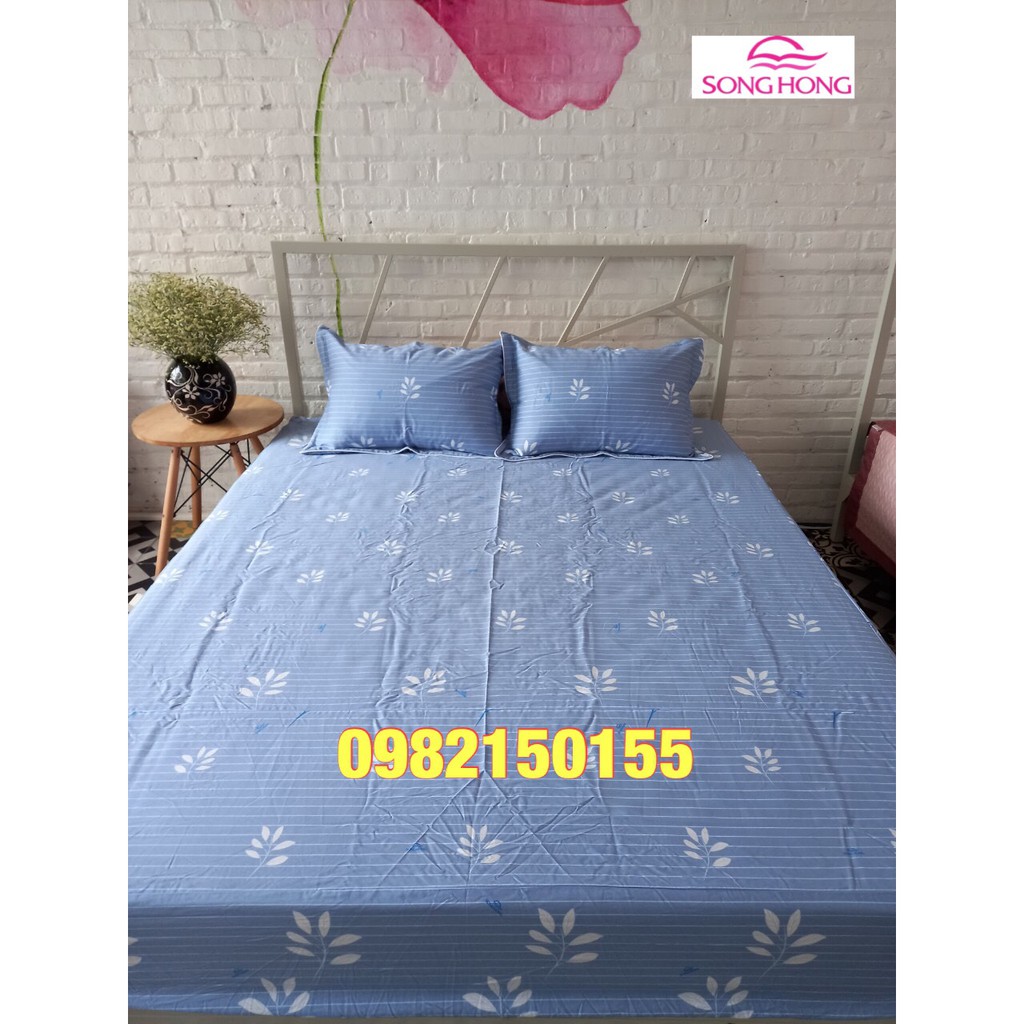 Ga chun 1.6*2m cotton không chần