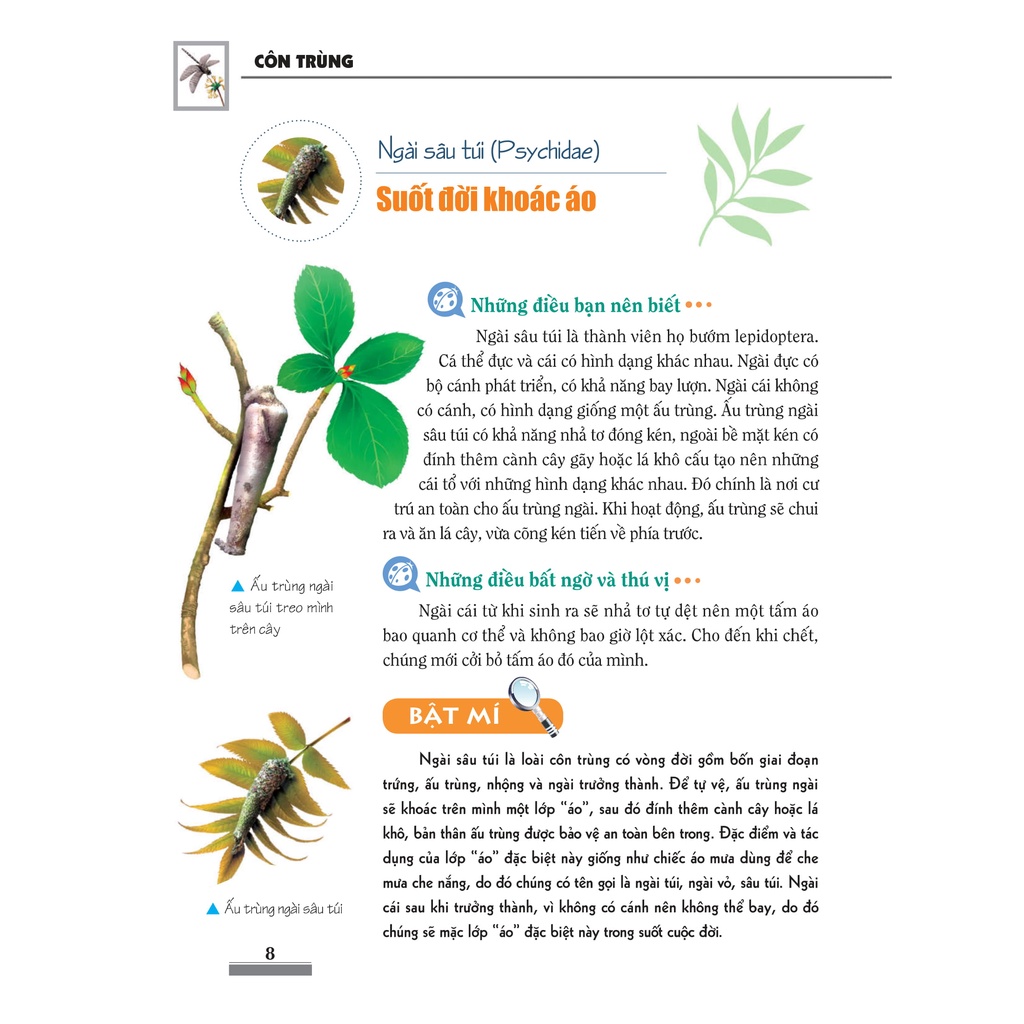 Sách - Khám phá bí ẩn thế giới tự nhiên - Côn trùng (tái bản 2018)