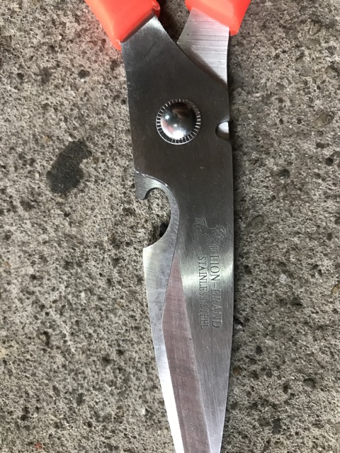 Kéo cắt đồ ăn inox sắc đẹp
