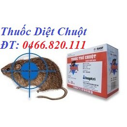 Thuốc diệt chuột Storm 1kg(300viên) rẻ nhất shopee