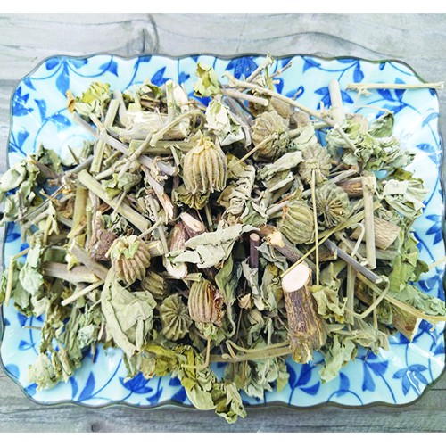 Cây cối xay khô sạch - Vạn Phúc