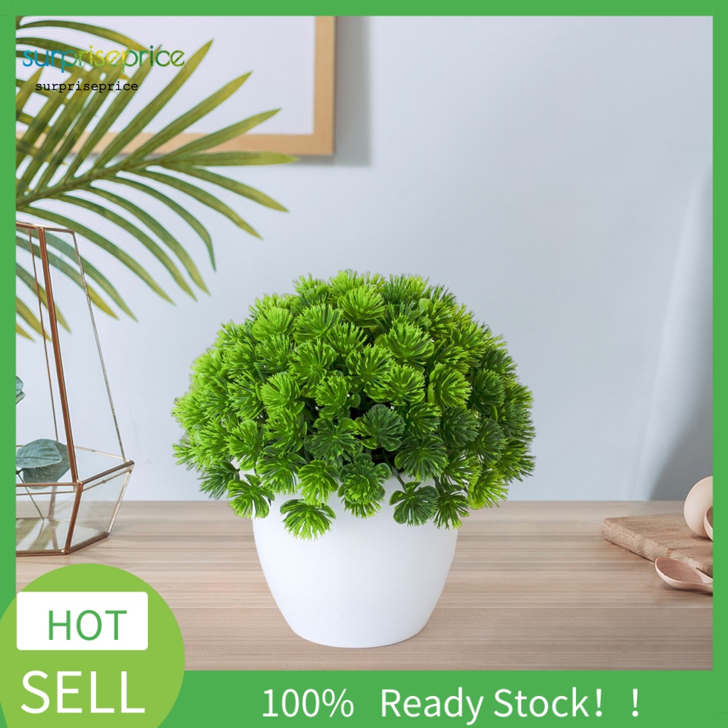 Chậu Cây Bonsai Giả Trang Trí Văn Phòng