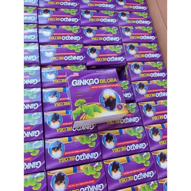 Ginkgo Biloba 240mg Bổ não, tăng cường tuần hoàn máu hiệu quả hộp 100 viên