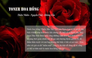 Toner hoa hồng