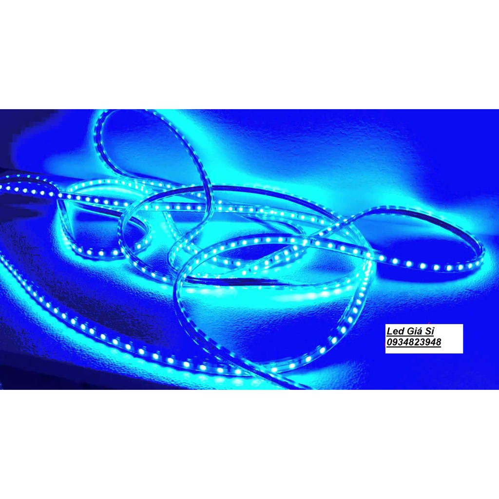 Cuộn đèn led dây 4040 dài 100m ánh sáng xanh dương. Décor trang trí phòng ngủ, ngoài trời