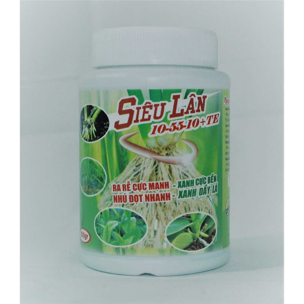 SIÊU LÂN 10-55-10 ra rể,ra hoa chống hư trái