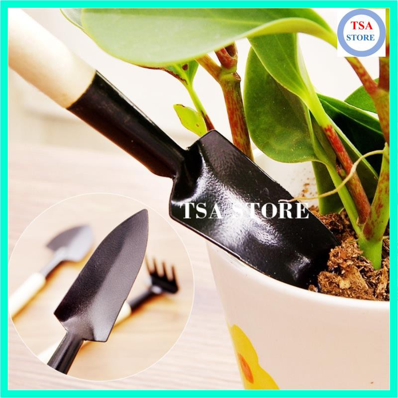 Dụng cụ trồng cây Bộ 3 chiếc trồng cây tiểu cảnh/chậu cây mini/terrarium/hồ cá/bonsai/hòn non bộ/sen đá/xương rồng