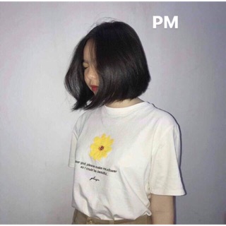 🏵 Áo Thun Hoa Cúc Vàng Unisex