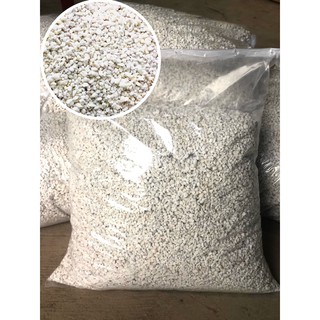 Đá Perlite - Đá trân châu siêu nhẹ cho sen đá & xương rồng gói 500gr