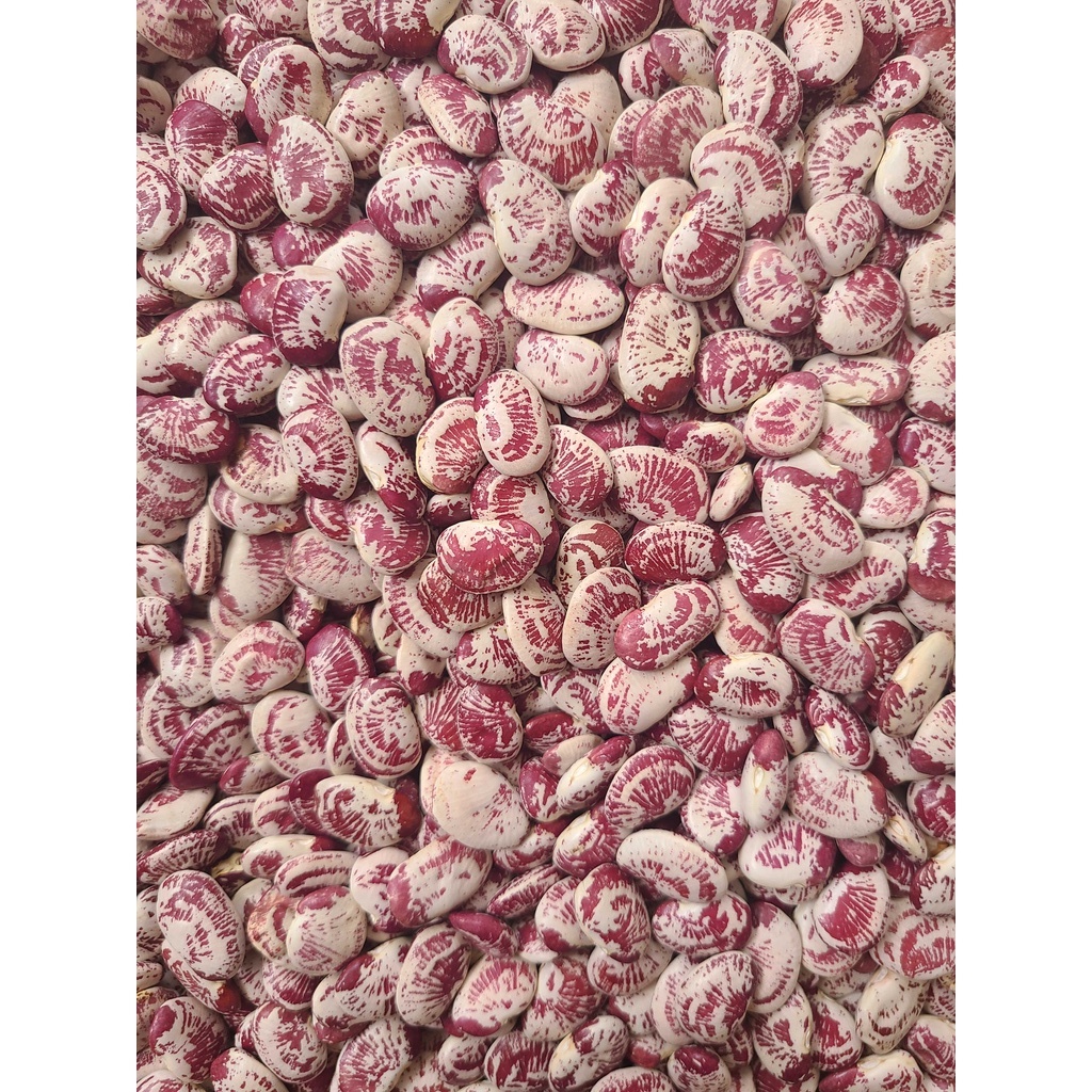 Đậu ngự Quảng Nam nấu chè, ngon trắng đều - túi hút chân không