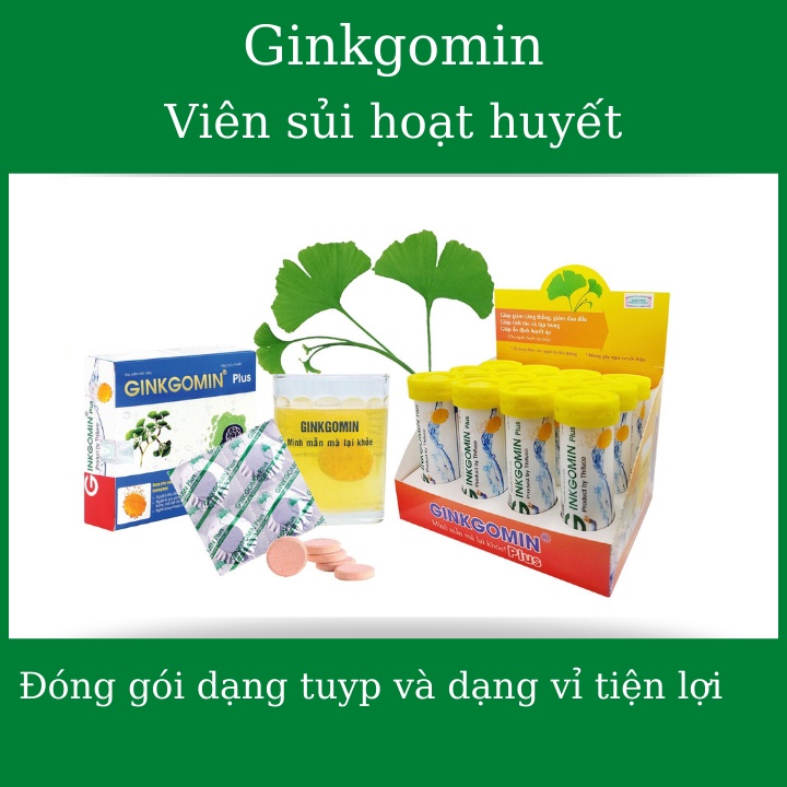 Viên sủi an thần, hoạt huyết Ginkgomin, tăng cường trí nhớ, chống say nắng, tăng cường hoạt huyết, giảm tê mỏi vai gáy