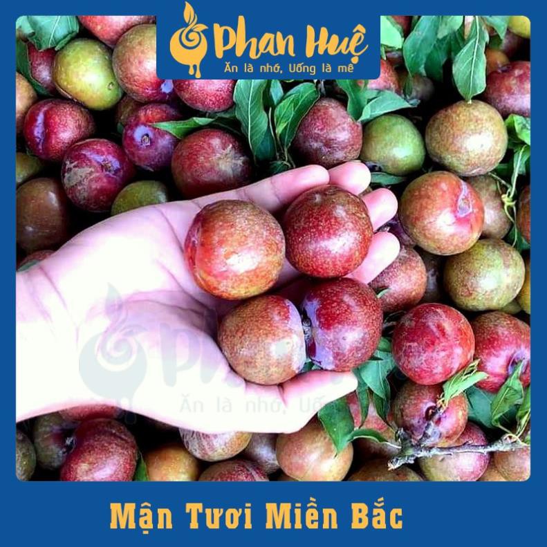 [ Dùng thử ] Ô mai xí muội mận không hạt xào cay Phan Huệ đặc biệt, mận miền Bắc chọn lọc, đặc sản Hà Nội