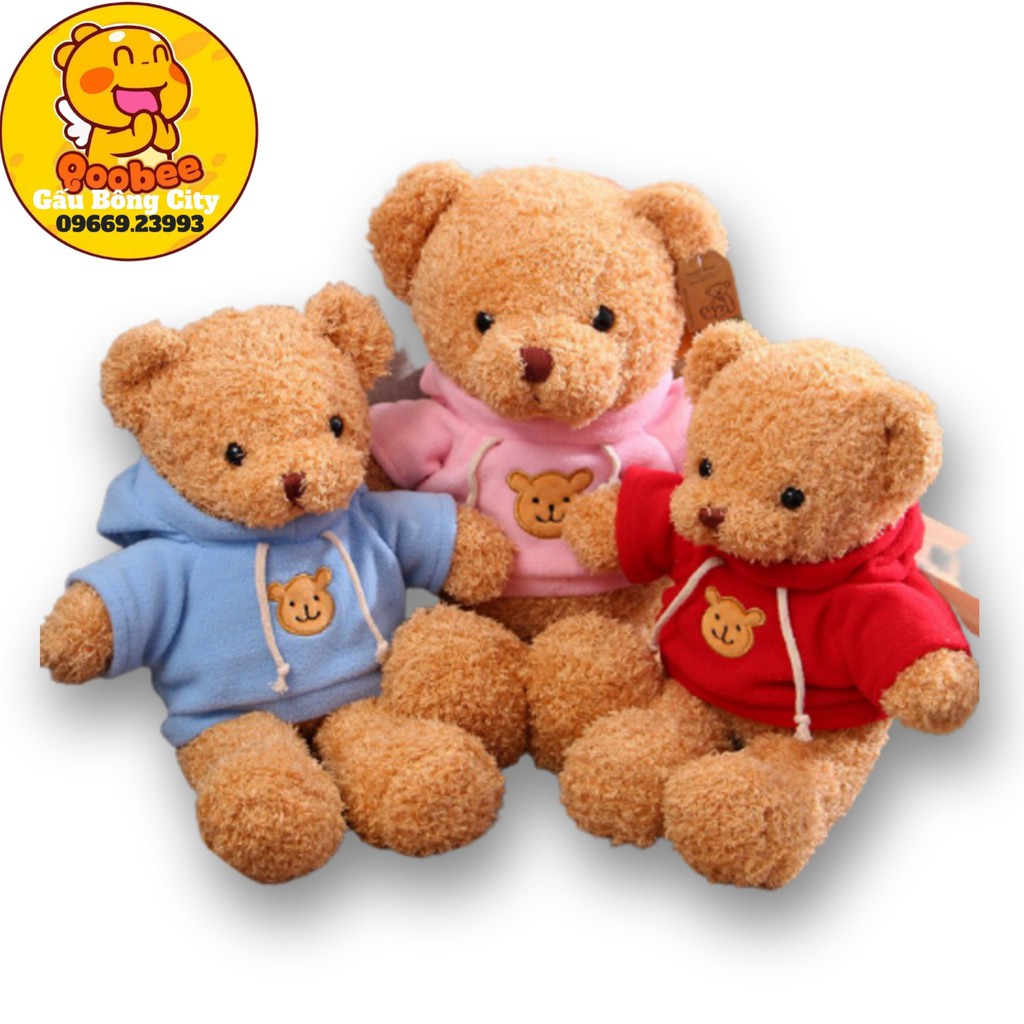 Gấu Teddy Mặc Áo Hoodie Dễ Thương Cao Cấp Gấu Bông City