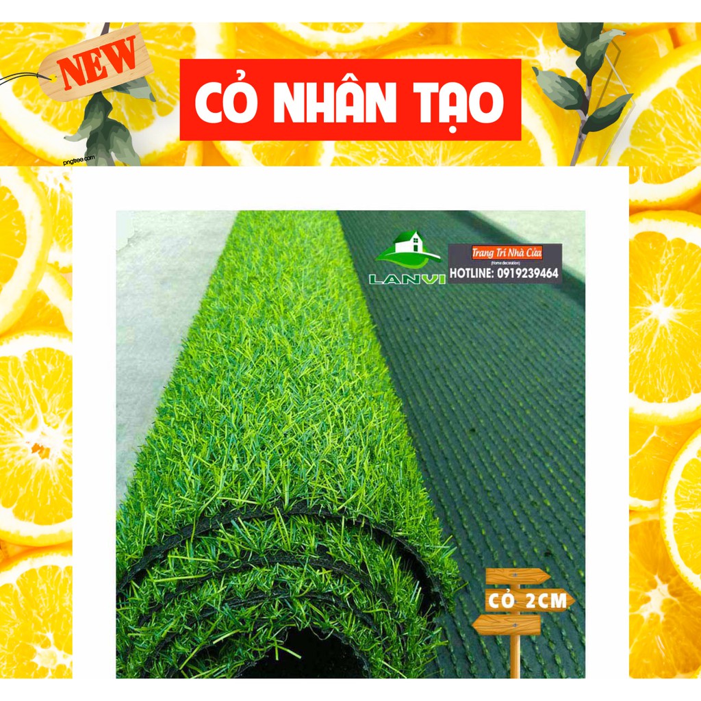 Cỏ nhựa nhân tạo, loại cỏ cao 2cm, kích thước 1m x 0,5m