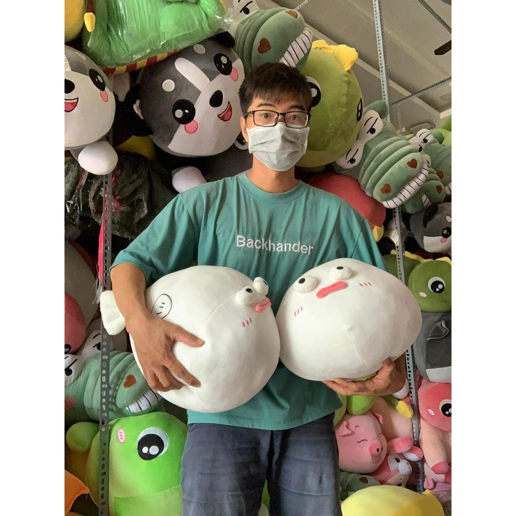 GẤU BÔNG CÁ NÓC MẶT NGÁO NGƠ, CÁ NÓC TRẦM CẢM, CÁ NÓC MẶT NGU NGƠ