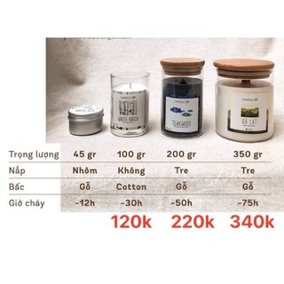 [Đủ size] Nến thơm Candle Cup - Mùi BAMBOO - Nến thơm thư giãn