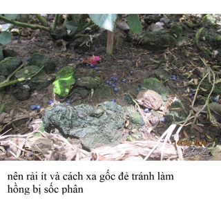 Phân bón cao cấp NovaTec Premium (1 kg)