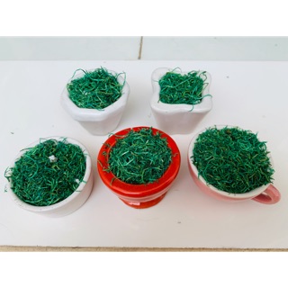 Chậu hoa sứ size nhỏ