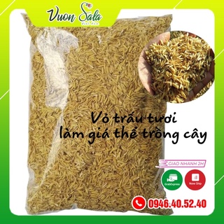 TRẤU SỐNG TƯƠI LÀM GIÁ THỂ TRỒNG CÂY