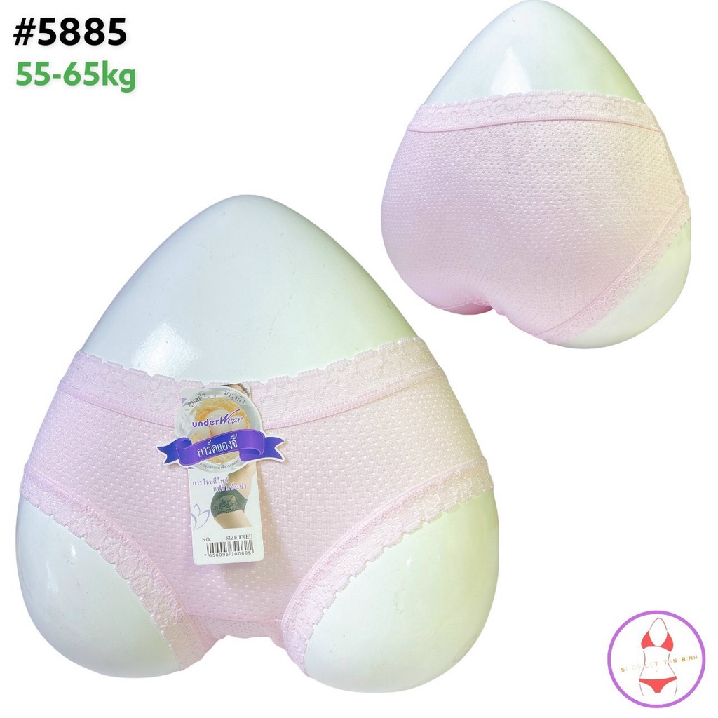 Bộ 10 quần lót nữ thông hơi Thái Lan cao cấp  5885, size từ 55-65kg