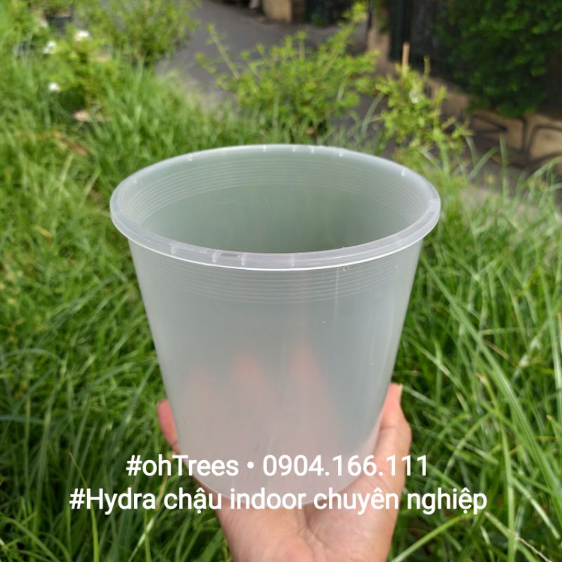 Combo 5 chậu trồng cây indoor chuyên nghiệp Hydra