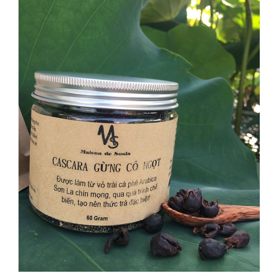 Trà cascara gừng cỏ ngọt