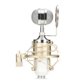 Micro Thu Âm Có Giá Đỡ Ba Chân Leihao Bm-8000