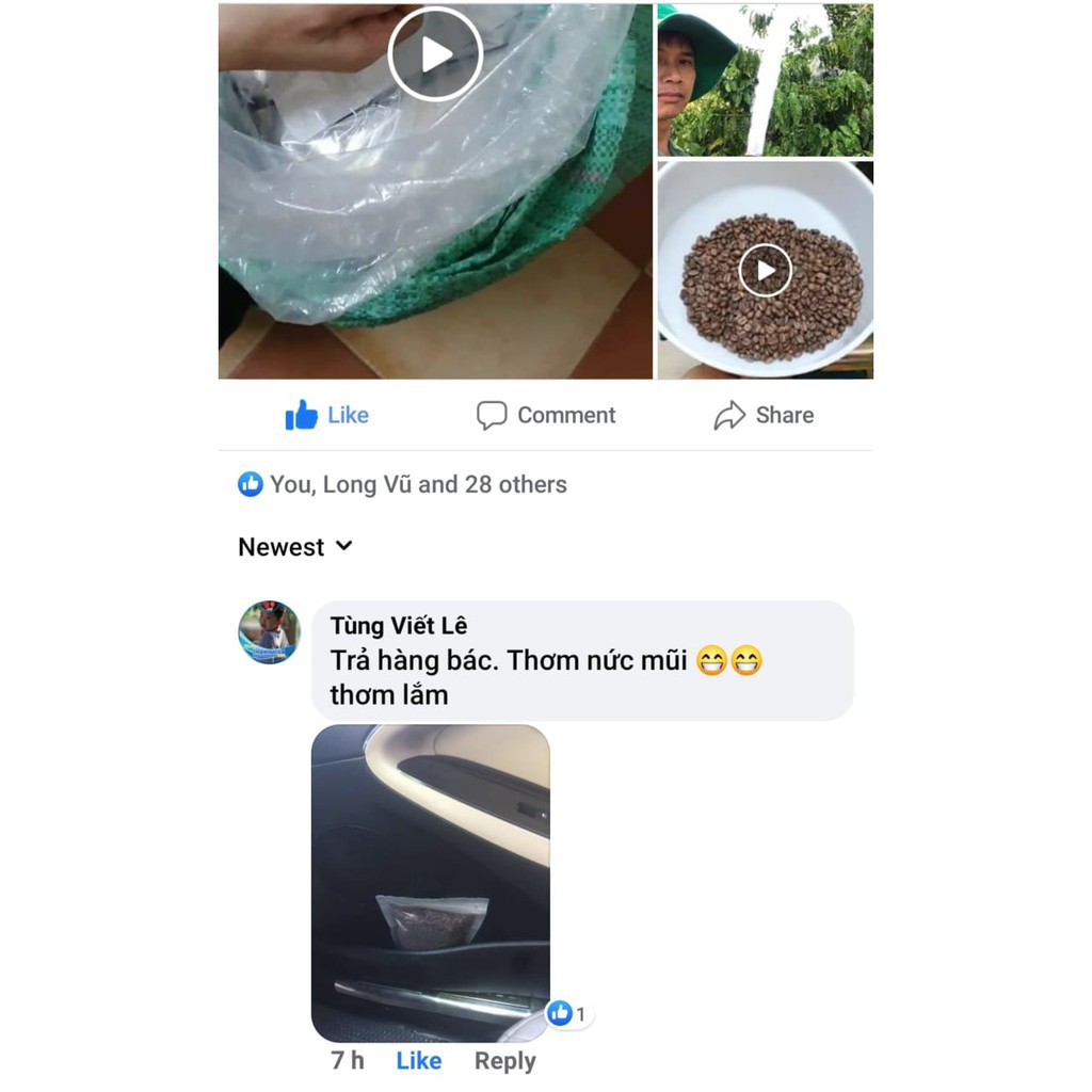 HẠT CAFE RANG MỘC KHỬ MÙI XE HƠI 500G