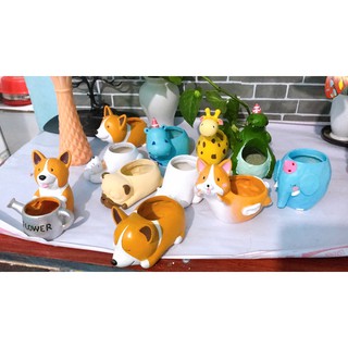 Chậu Composite trồng cây