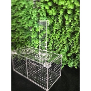 Box tép, Lồng dưỡng tép/ cá treo thành bể 2 ngăn 20x20x10cm