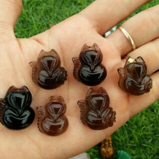Hồ ly tình duyên